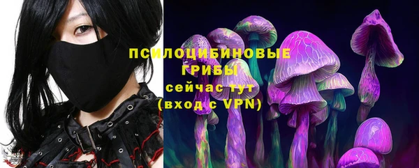 PSILOCYBIN Арсеньев