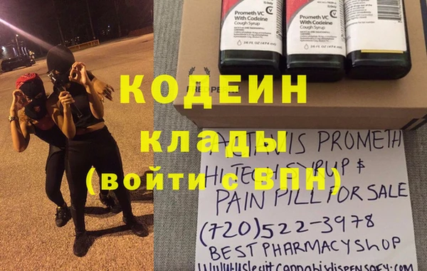 индика Каменногорск